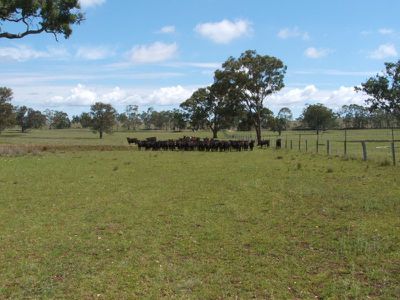 4646 Strathbogie Road, Emmaville