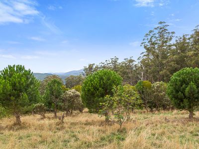 312 Silver Hill Road, Cygnet