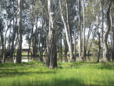 Koondrook