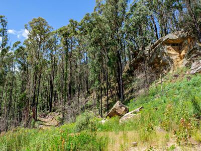 98 Coal Mine Road, Gardners Bay