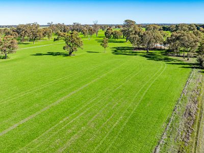 'Pastoria Park' 205 Balldale Road, Hopefield