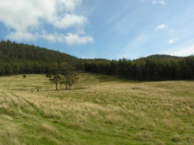Lot 2A Lonnavale Road, Lonnavale
