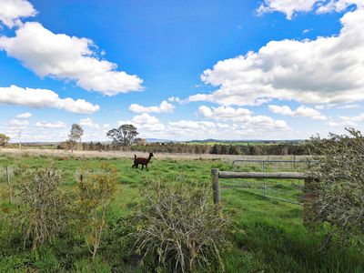 127 Lyell Road, Redesdale