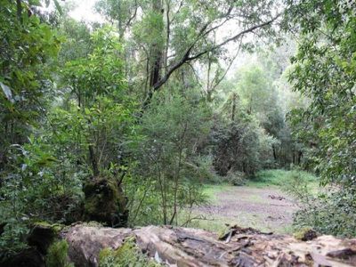 Lot 322 / 3 Lot 322/3 Upper Kangaroo River Road, Kangaroo Valley