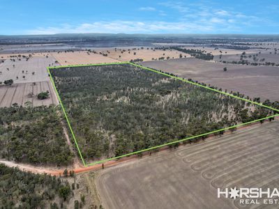 Lot 8, 8 Donald Swamp Road, Mockinya