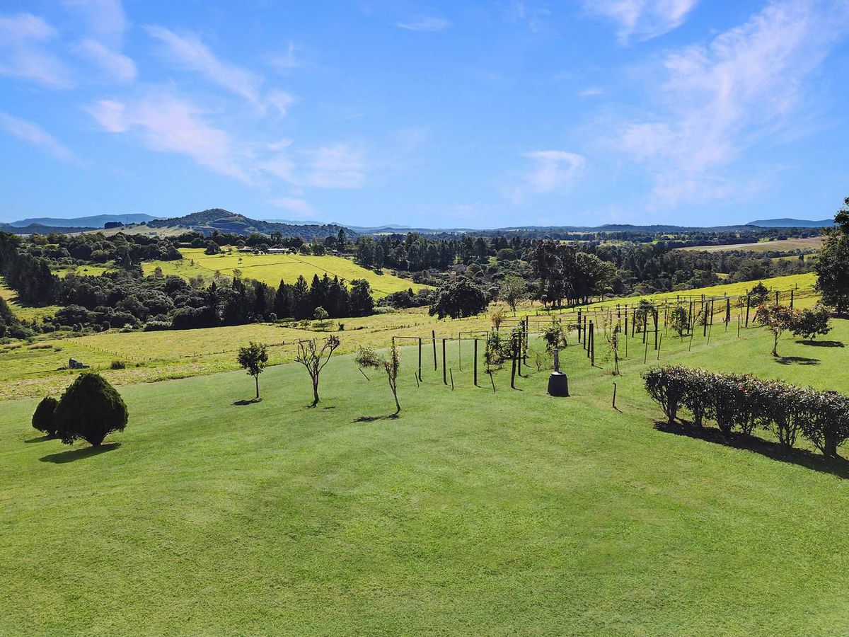 49 Forrester, Malanda