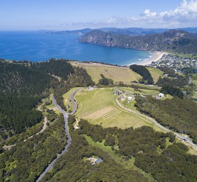 36 Bowden Road, Taupo Bay