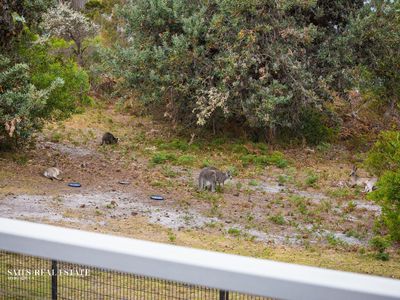 2 / 180 Pacific Way, Tura Beach