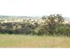 5553 Burrendong Way, Stuart Town