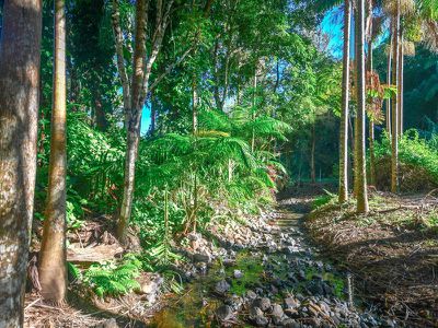 90 Anderson Road, Nimbin