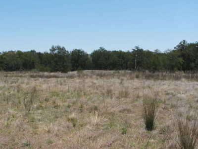 Mole River Road, Tenterfield