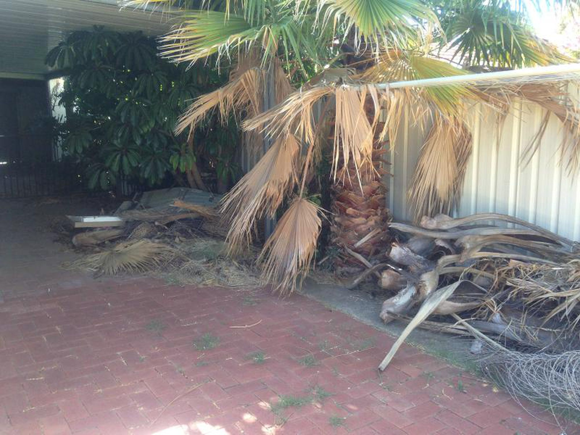 47 Daly Street, Kurralta Park
