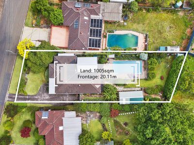 41 Robert Street, Telopea