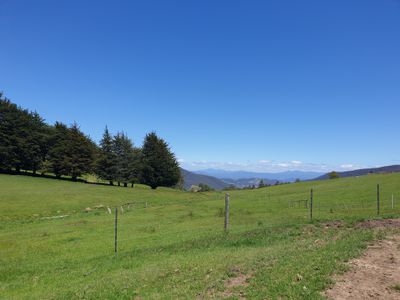 Lot 1 (51 Acres) Coal Mine Road, Kaoota