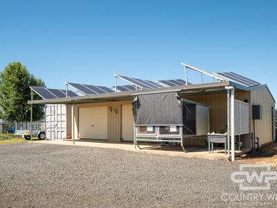 74 East Pandora Road, Glen Innes