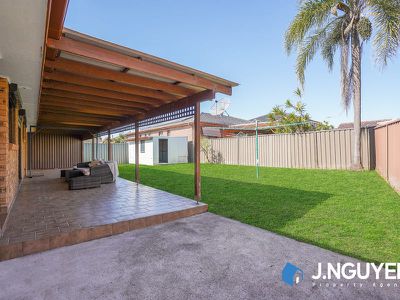 20 Broadmeadows Street, St Johns Park