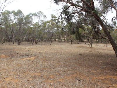 334 Scotts Lane, Wedderburn