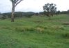 718 Belgravia Road, Orange