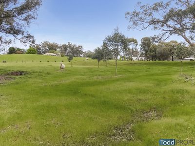 20 Shorts Lane, Heathcote