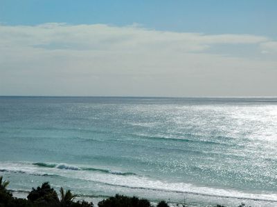 Palm Beach