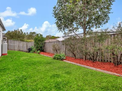 6 Dayflower Street, Upper Coomera