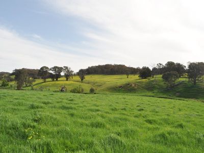 412 Vokins Creek Road, Little Billabong