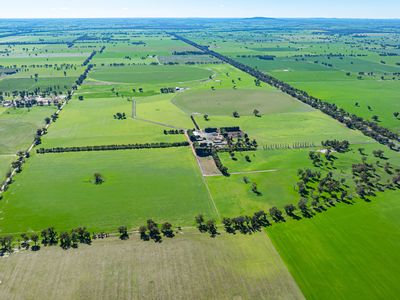 'Pastoria Park' 205 Balldale Road, Hopefield