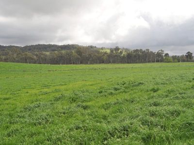 Beechworth-Wodonga Road, Wooragee