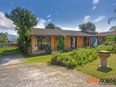 17 Golden Cane Avenue, North Nowra