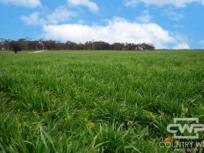 Lot Plain View, 916 Emmaville Road, Glen Innes