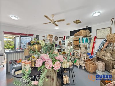 Magnolia Nursery