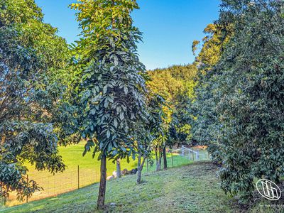 765 Old Highway, Narooma