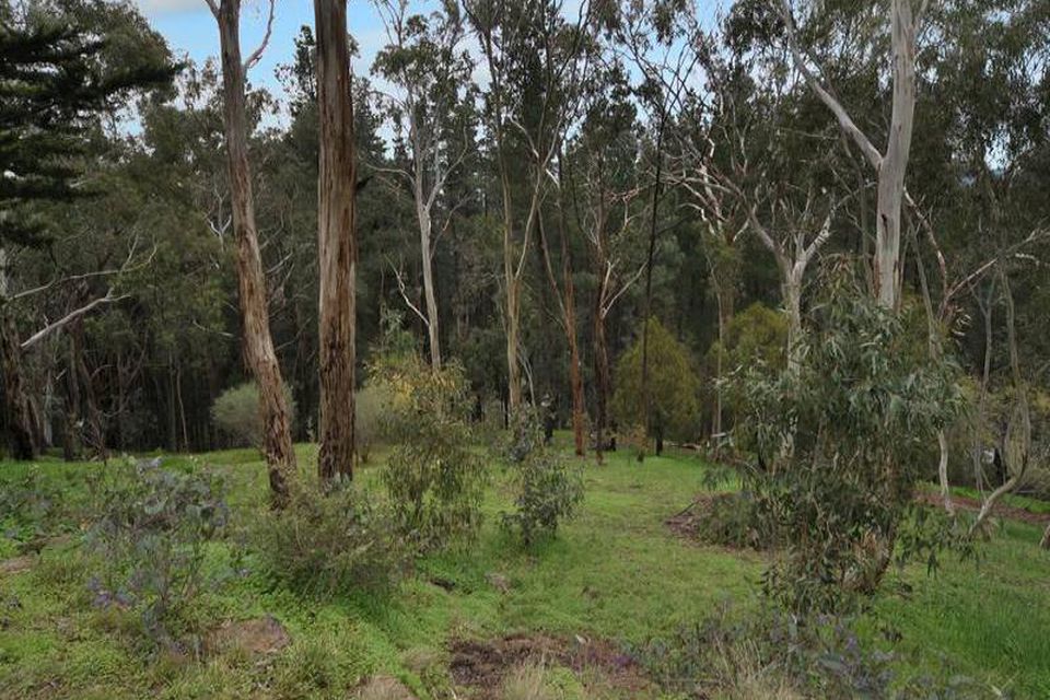 Norton Summit CE Property Group