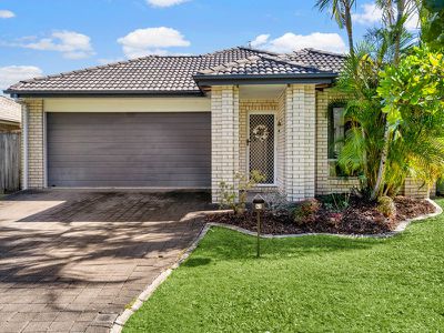 42 Feathertop Circuit, Caloundra West