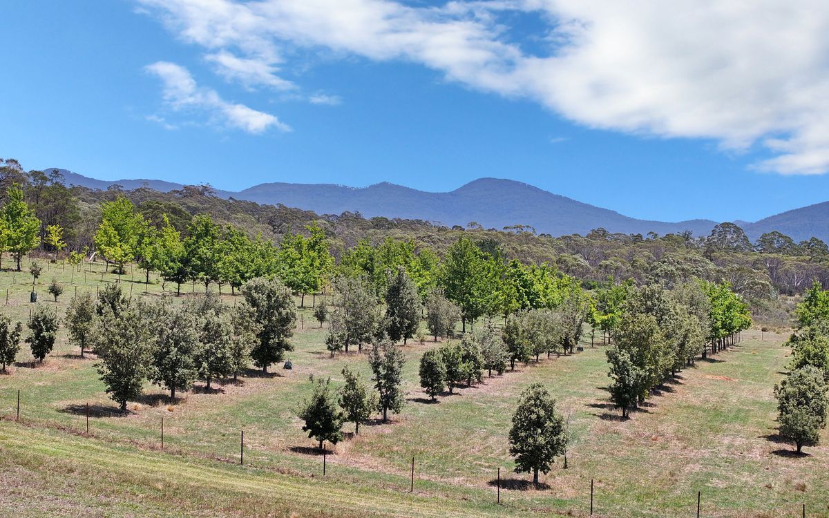 760 Wallaces Gap Road, Braidwood