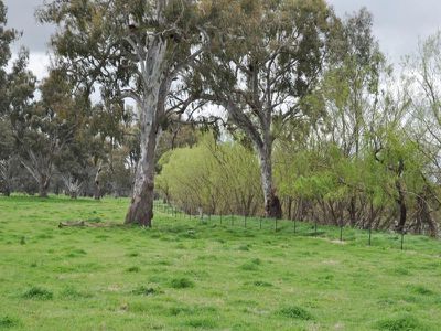 Snowdons Road, Bonegilla