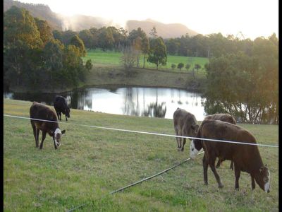 259 Mt Scanzi Rd, Kangaroo Valley