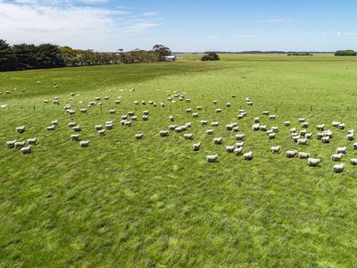 Lot 77 & 80, Fisher Road & O'Neils Lane Wattle Range, Millicent