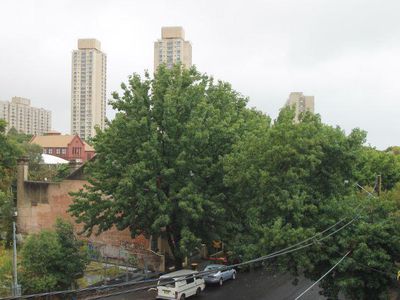 11 / 137 - 141 Regent  Street, Redfern