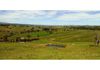 579 Browns Creek Road, Blayney