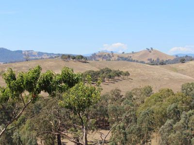 1286 Howes Creek Road, Mansfield
