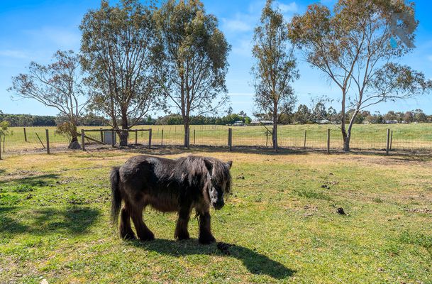 3 Red Gum Road, Oaklands Junction