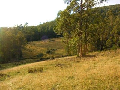 Lot 1 Halls Track Road, Pelverata