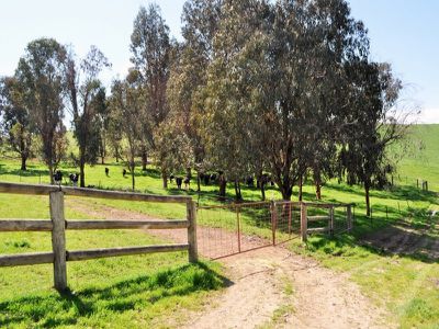51 Welumba Creek Road, Greg Greg