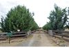 27 Windera Drive, Orange