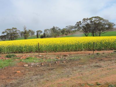 606 Telegraph Road, Toodyay