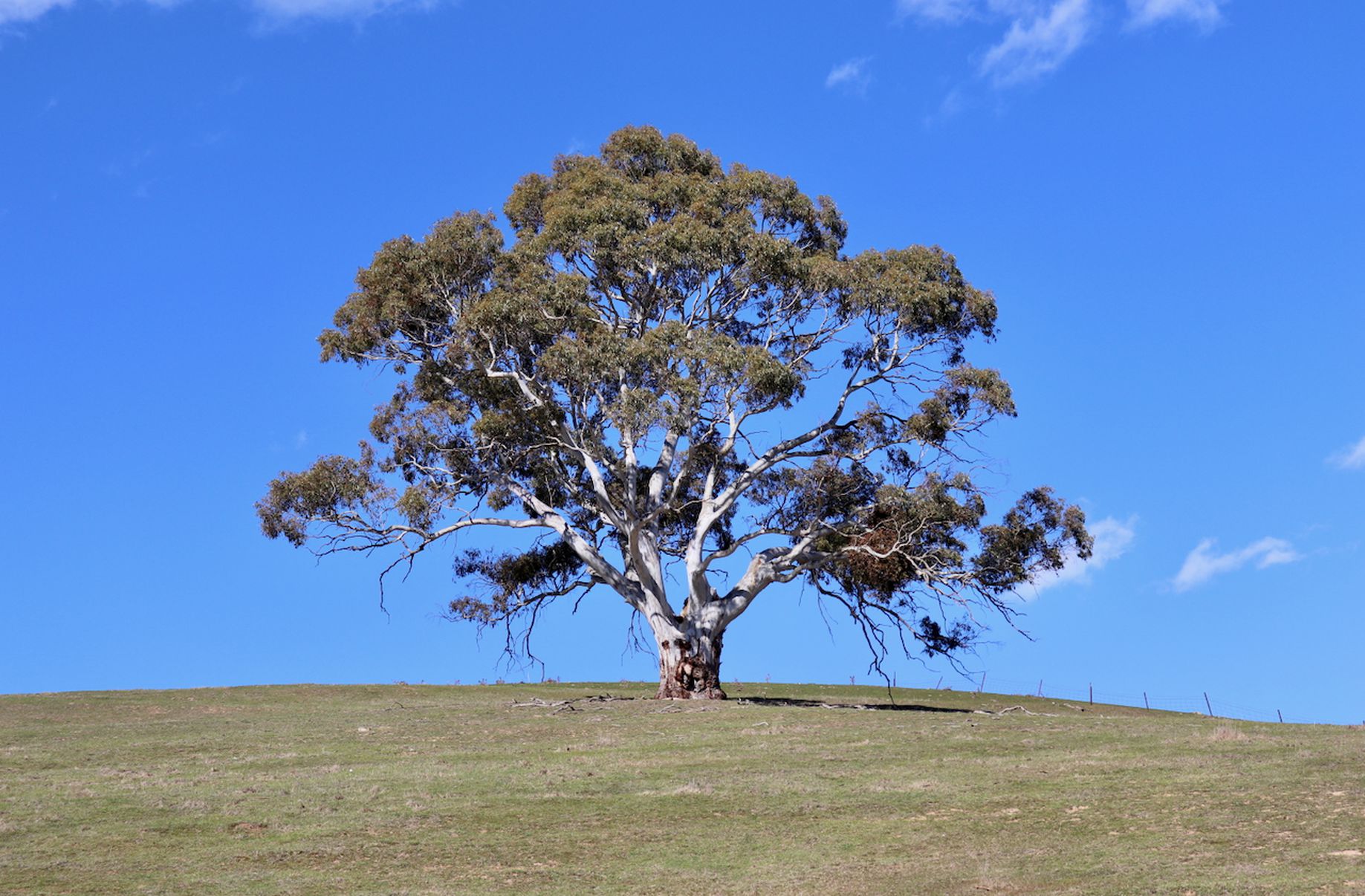 Lot 13, 13A, 13B, 31A &, 31C BRIDGE ROAD, Grenville