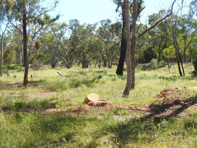 Lot 230 Caddell Street, Emmaville