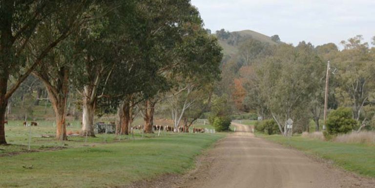 43 Murrays Road, Alexandra