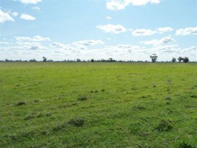 Carrolls Lane, Balldale